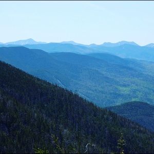 Meet your Posher, Litzy